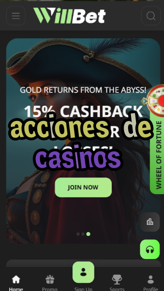 acciones de casinos-asdasdzhjkds.com